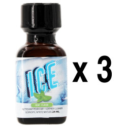 BGP Leather Cleaner ICE Menthe 24ml x3